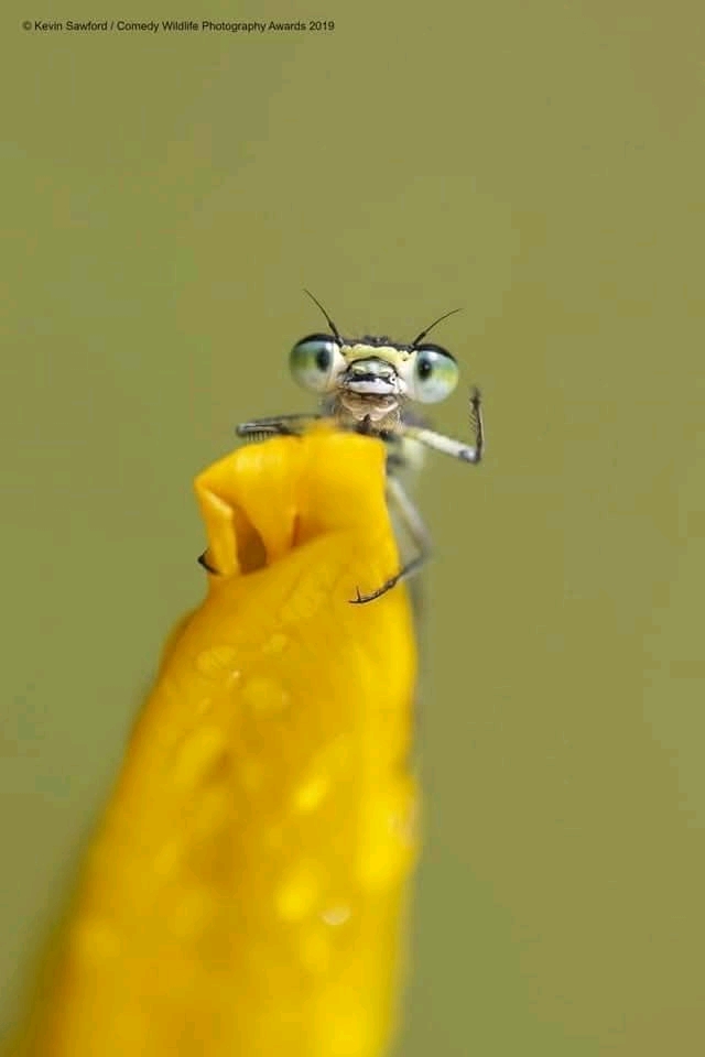 1744912596826.jpg