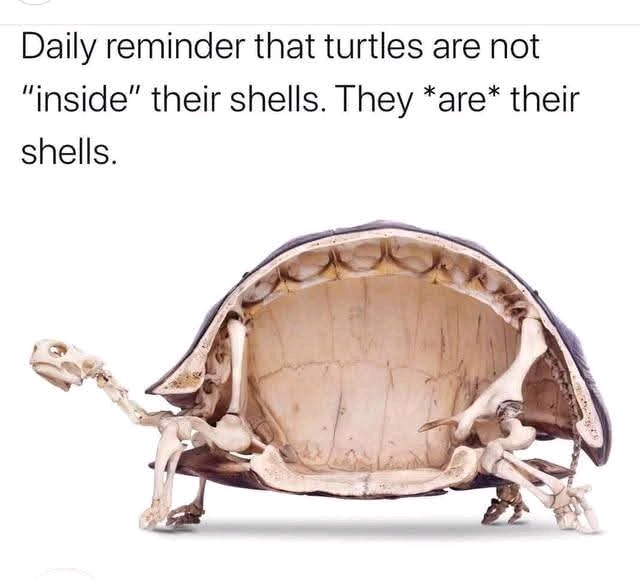1744912640180.jpg