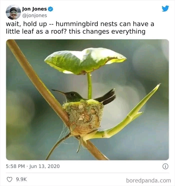 1744941638276.jpg