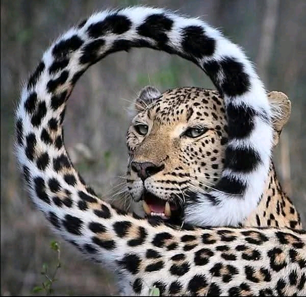 1744941756754.jpg