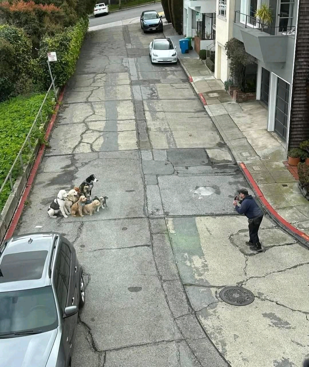 1745069772120.jpg