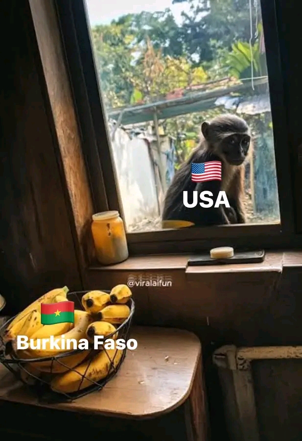 1745427447461.jpg