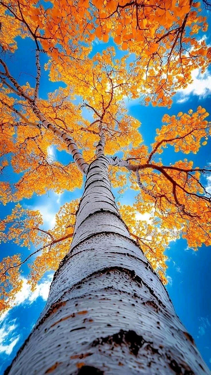1745660849897.jpg