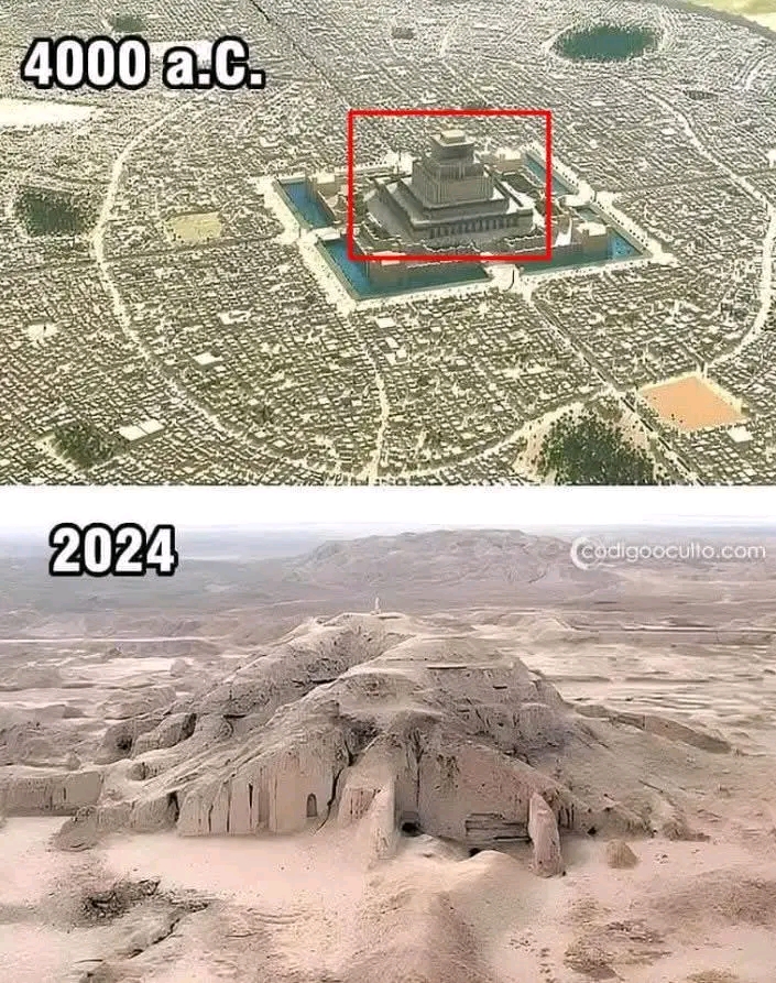 1746157205874.jpg