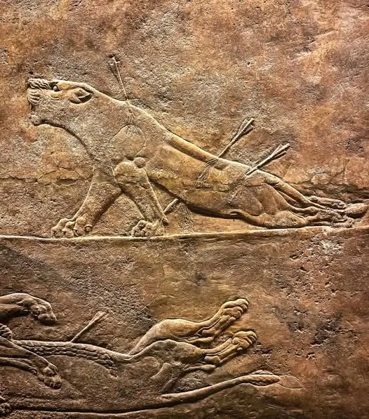 1746965148140.jpg