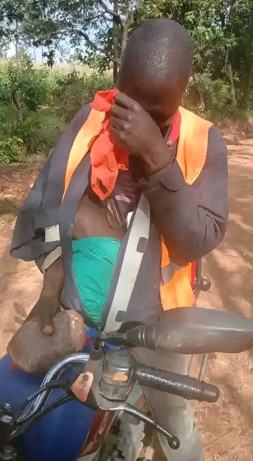 1749842417605.jpg