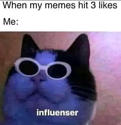 1758229472515.jpg