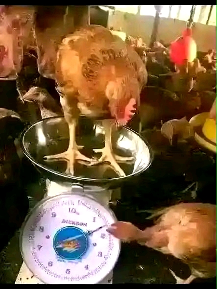 1758308097690.jpg