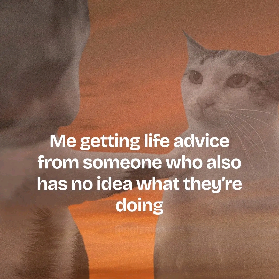 1789553086774.jpg