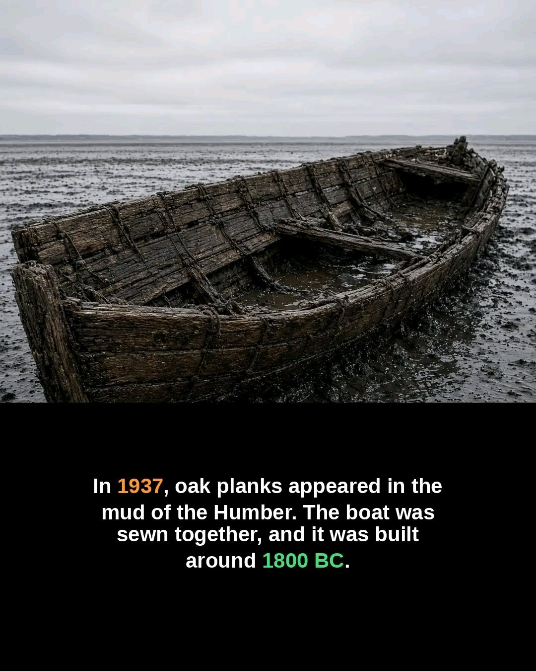 1790195986411.jpg