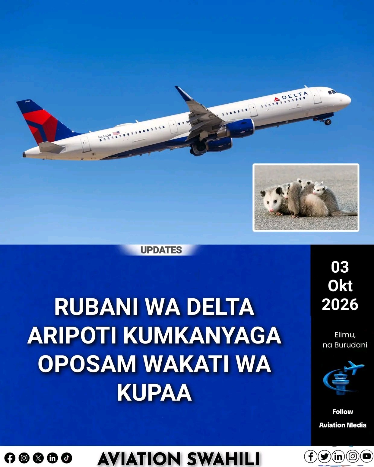1791031258792.jpg