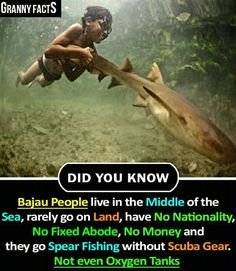 1b2a3d2c4aa9bf0f0bc4b7e8606042db.jpg