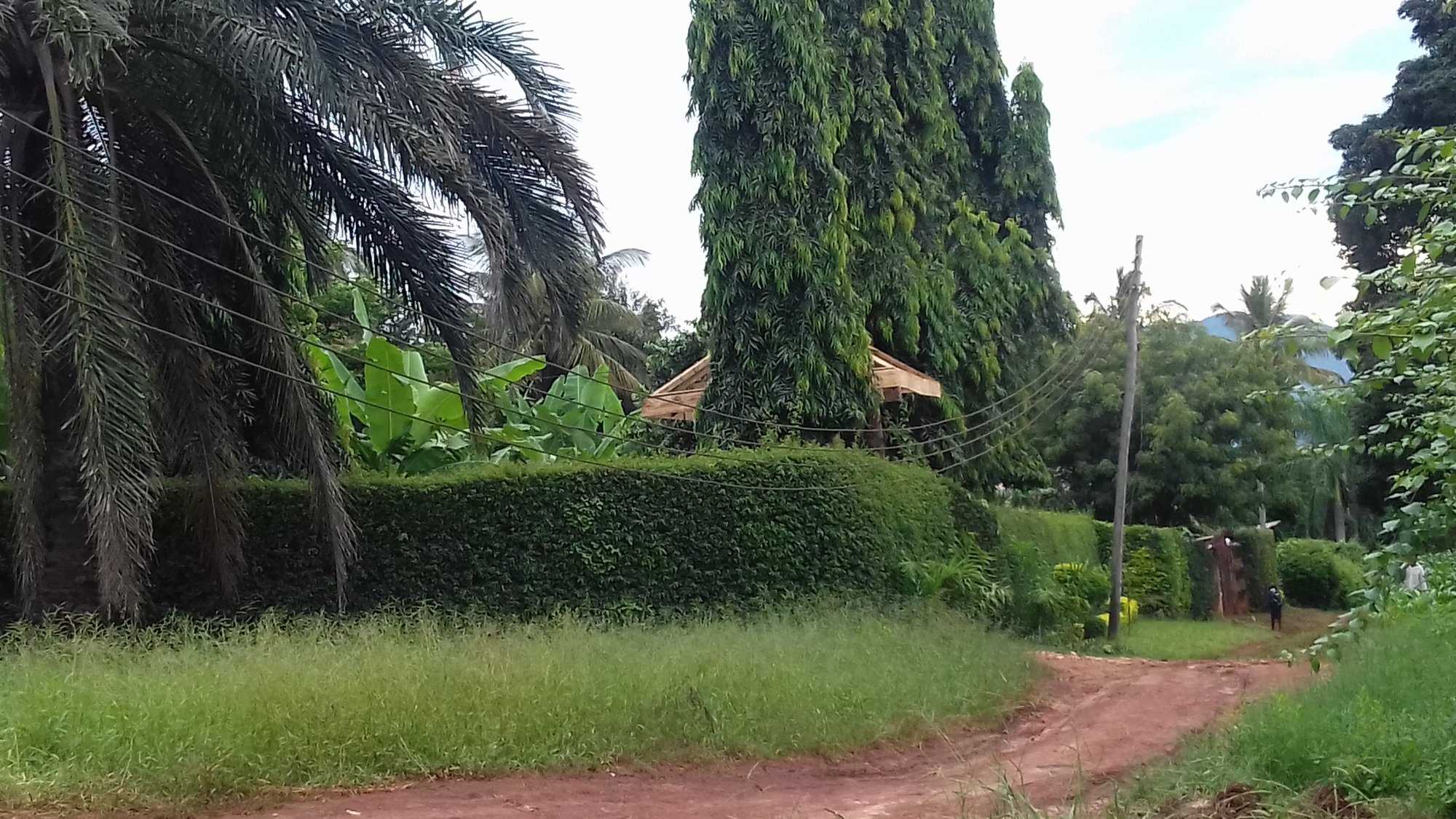 20180420_151941.jpg