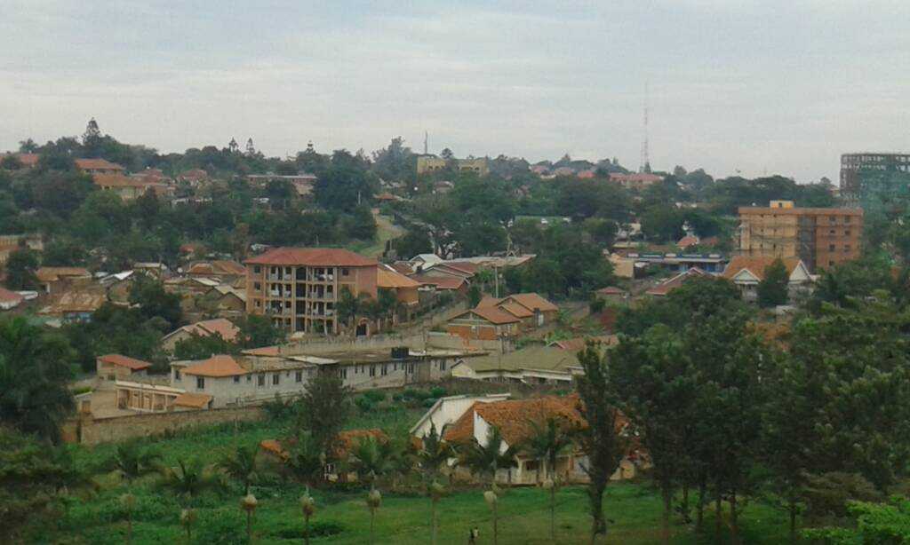 20181012_133806.jpg