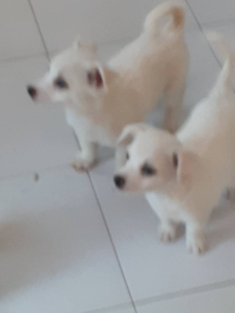 20181130_180156.jpeg