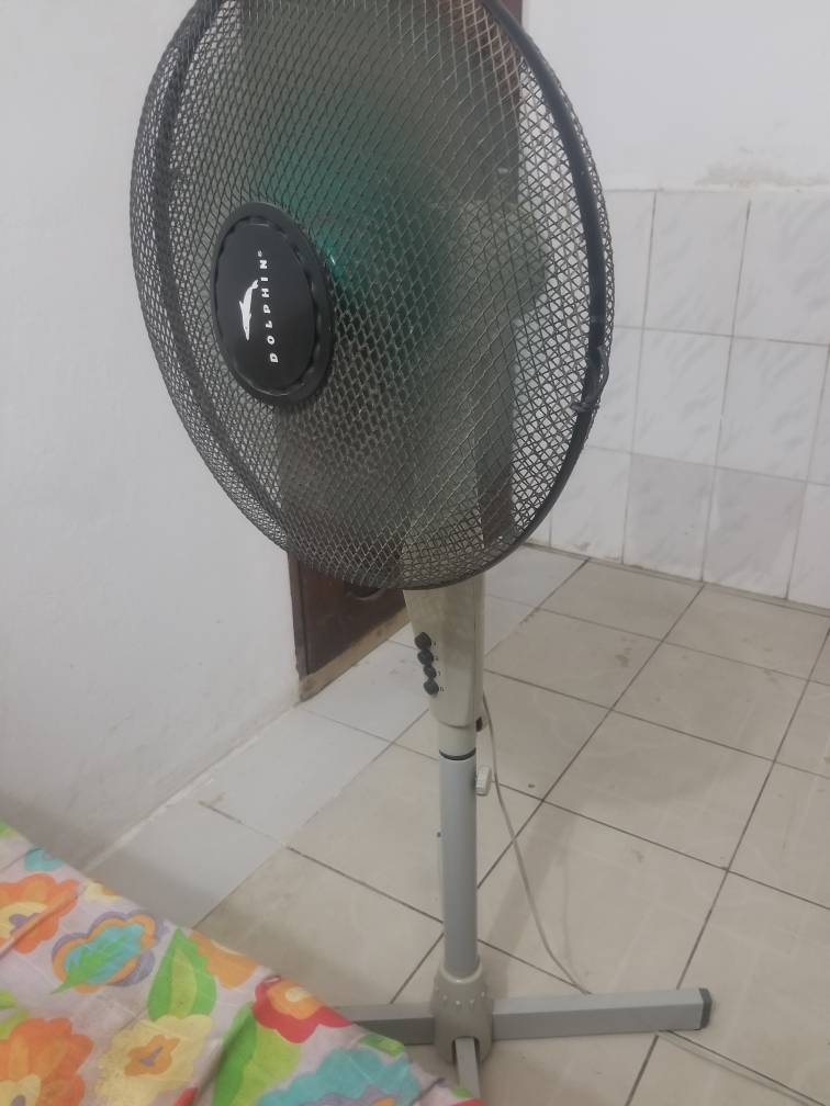 20181209_230018.jpeg