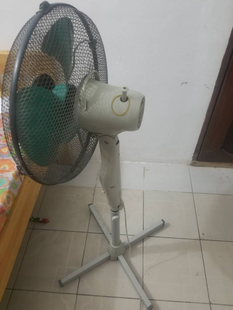 20181209_230040.jpeg