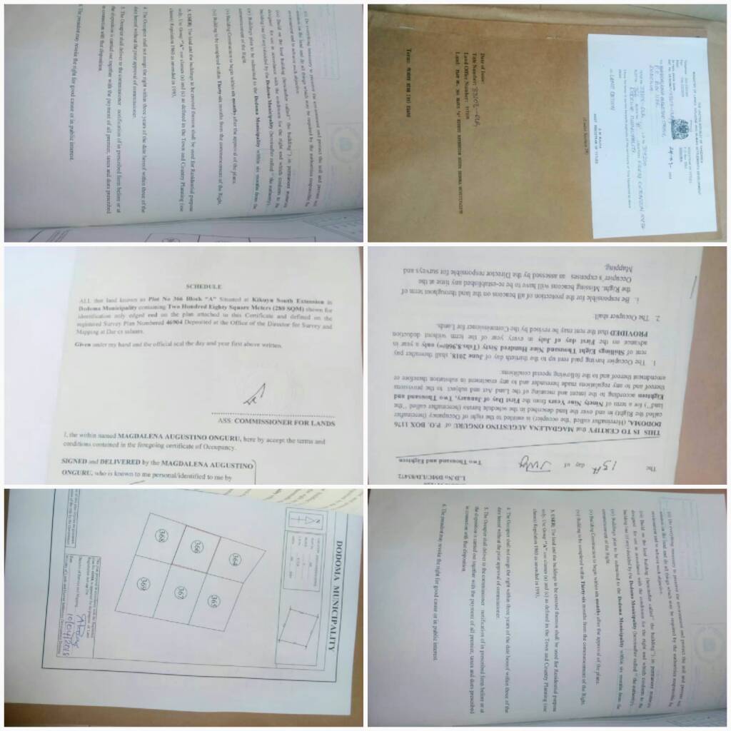 20181230_205136.jpeg