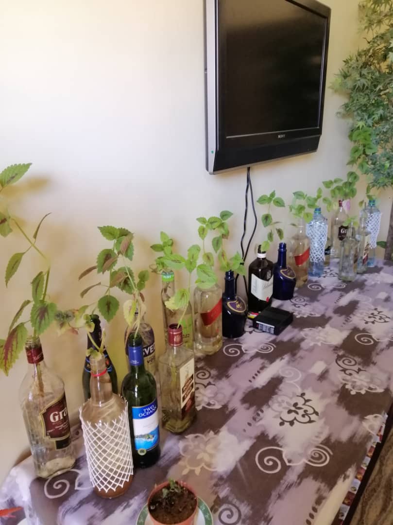 2019-09-14 at 1.30.22 PM.jpeg