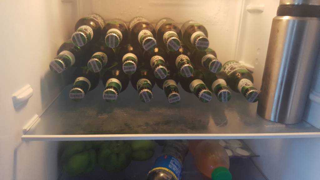 20190419_173223.jpeg