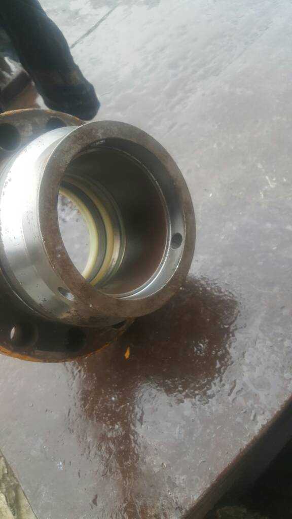 20190511_165037.jpg