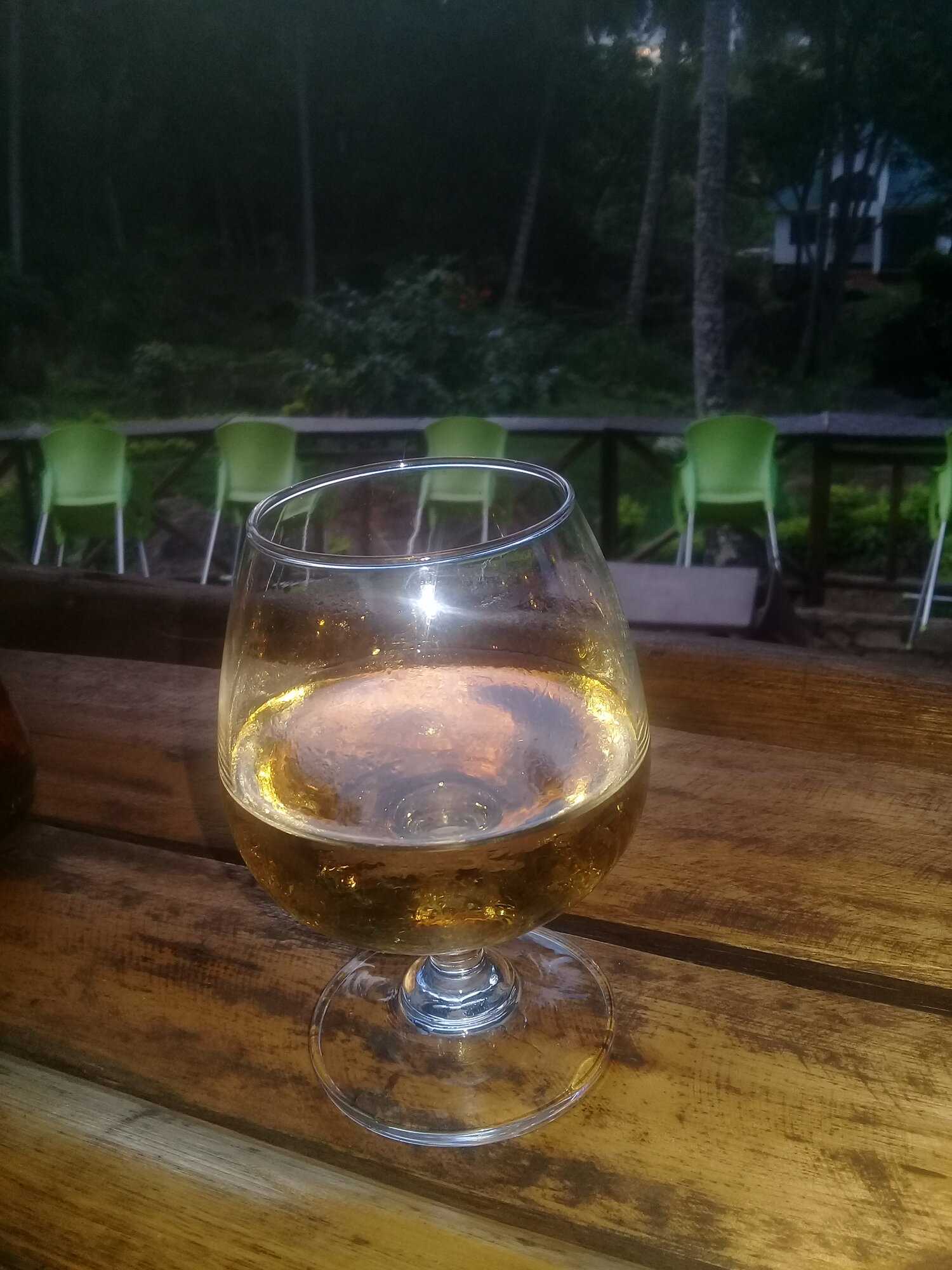 20190525_174154.jpg