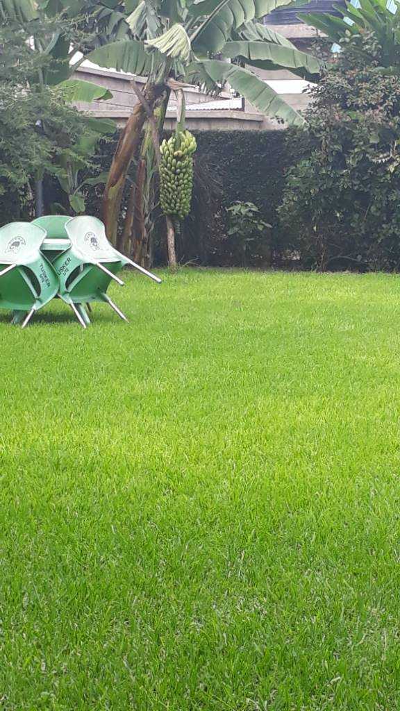 20190606_143823.jpeg