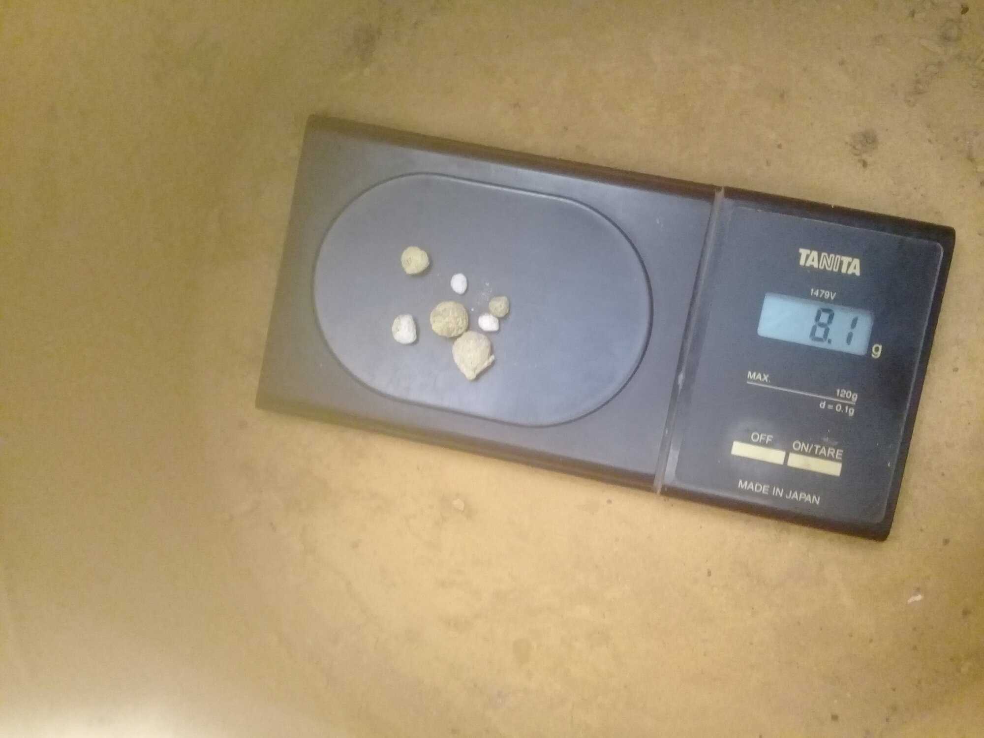 20190811_153823.jpg