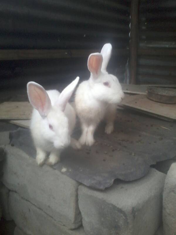 20200125_143858.jpeg