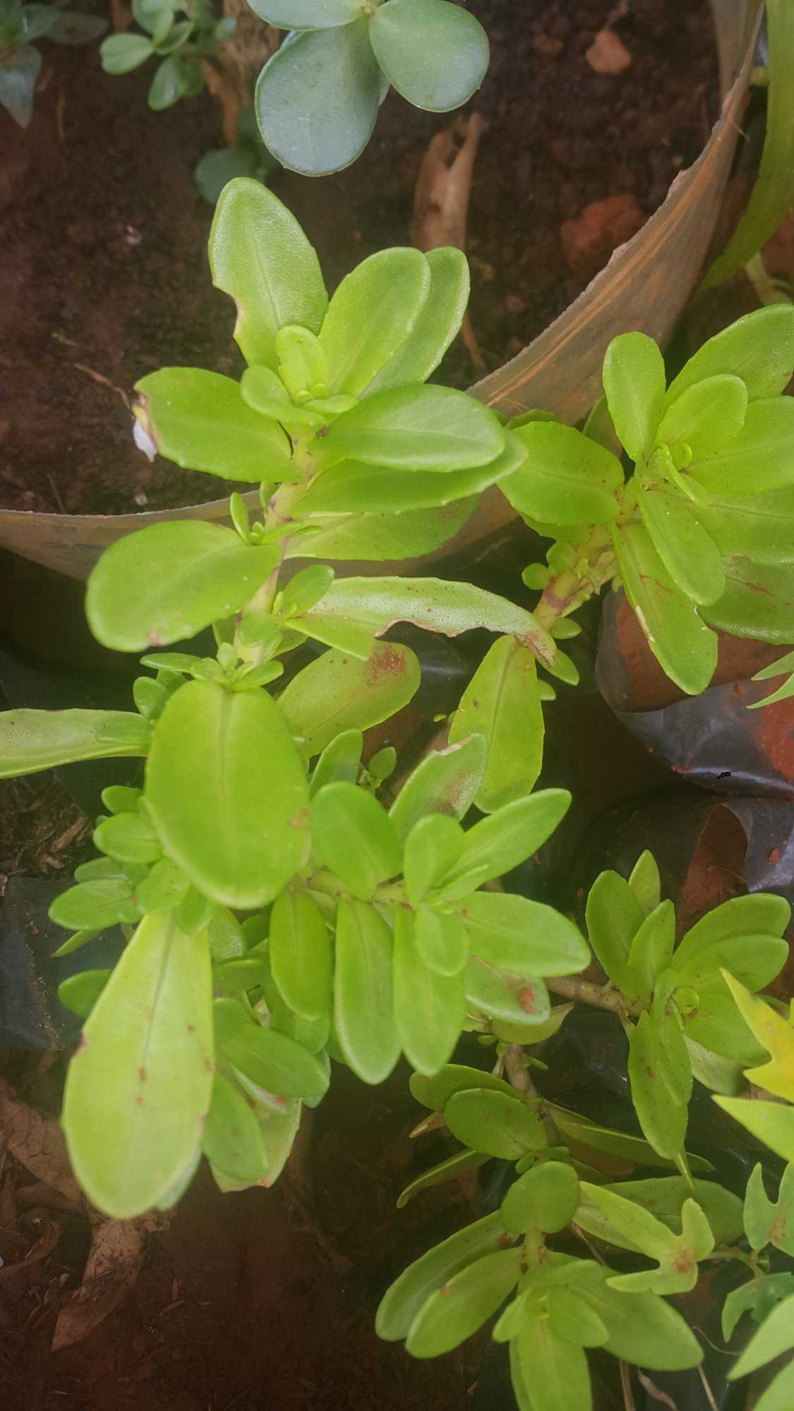 20201003_120055.jpg