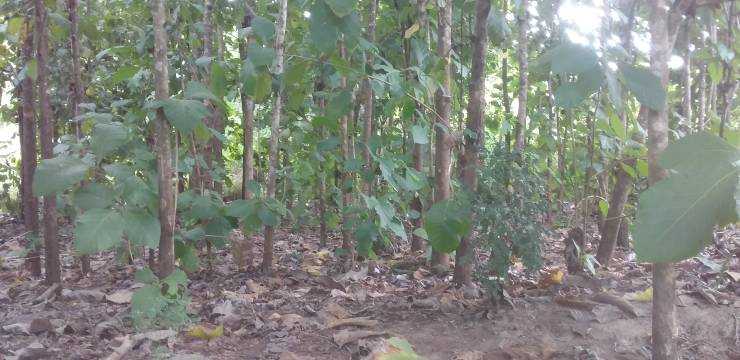 20210615_135528.jpg
