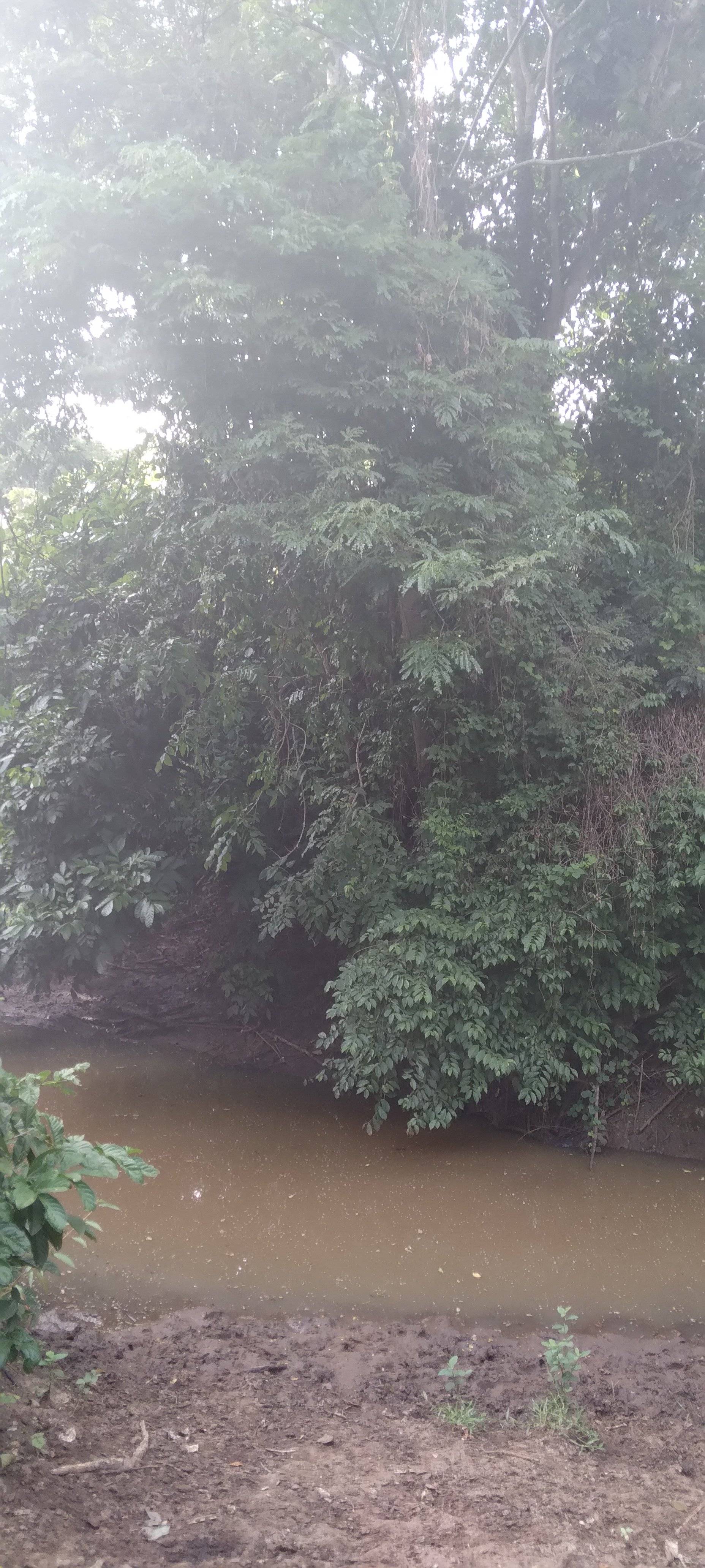 20220403_074412.jpg