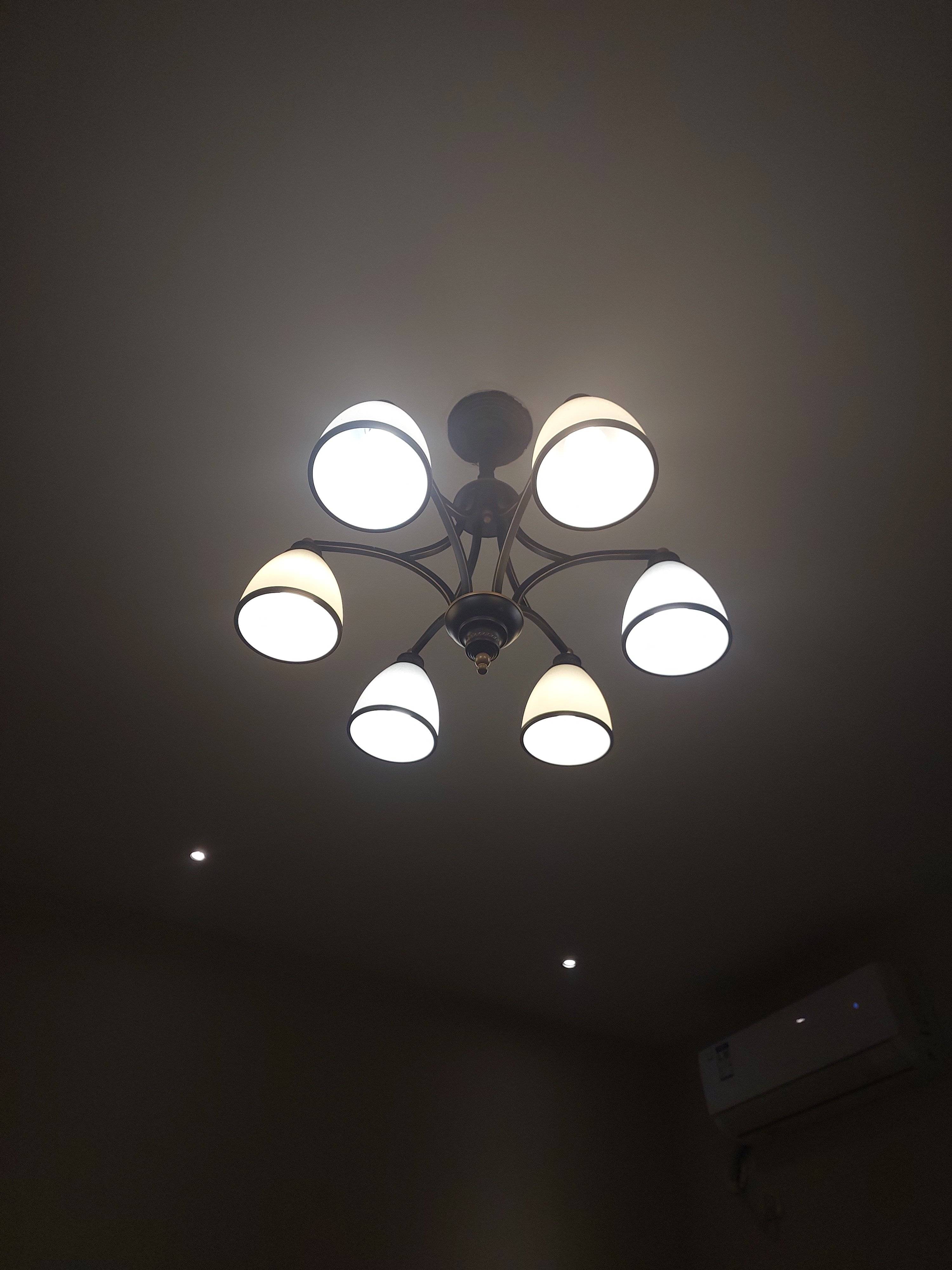 20230316_015853.jpg