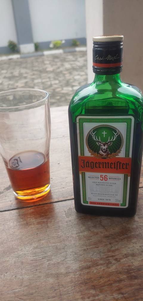 20230409_141609.jpg