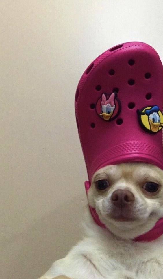 20240101_204929.jpg