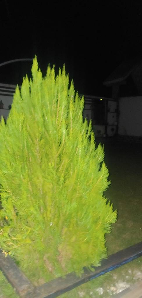 20240203_211255.jpg