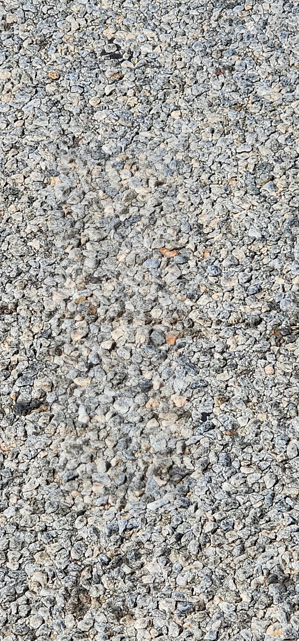 20250805_140935.jpg