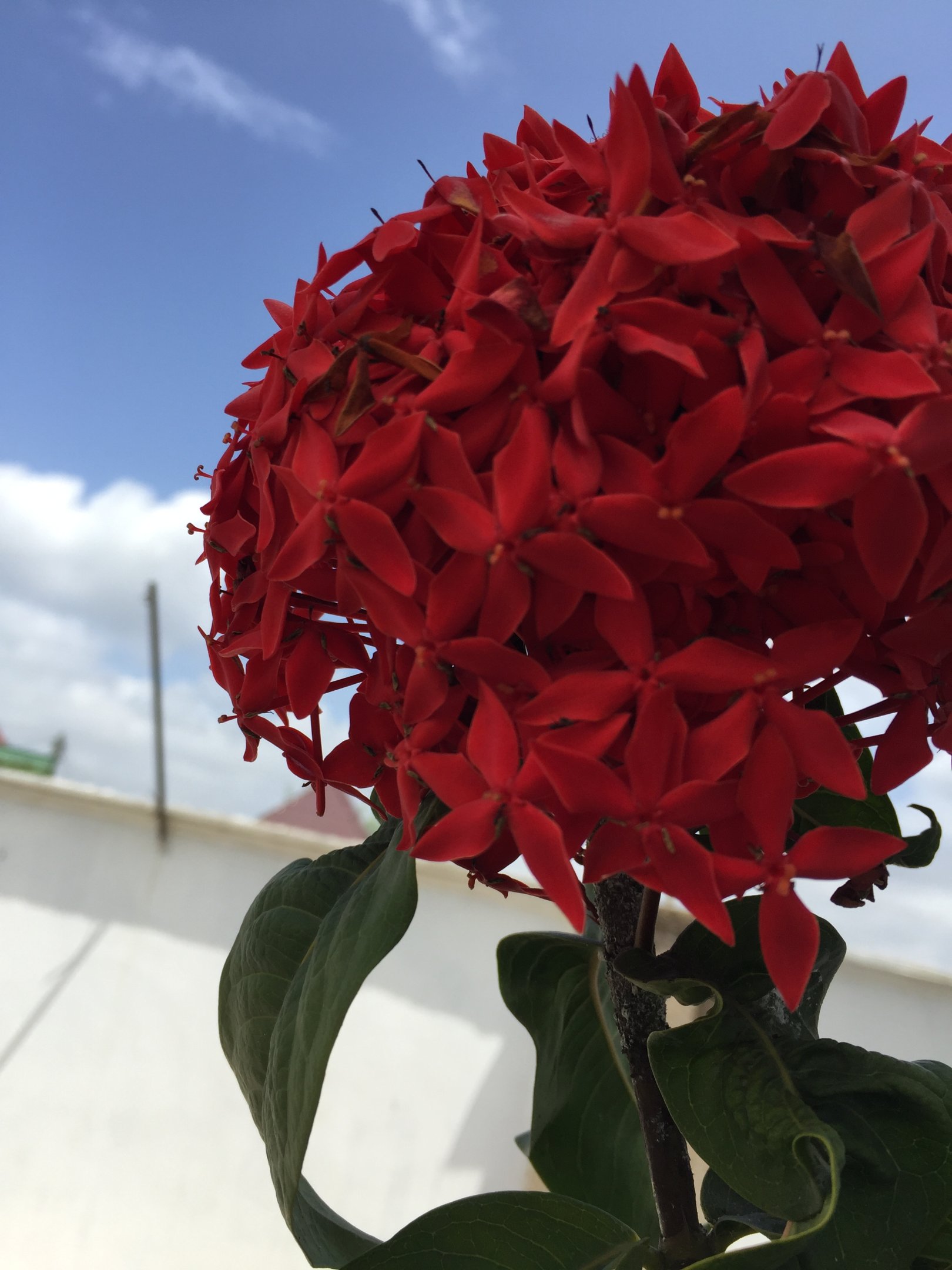 23200C34-3D68-4EC1-A7A3-96BCDBDED4F8.jpeg