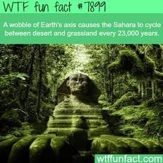 3c135e8f6ce35e85a8e558b91a61b01e.jpg