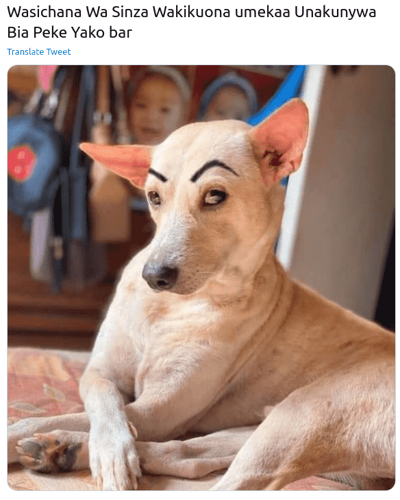 40ir04if490ri3409ri34.png