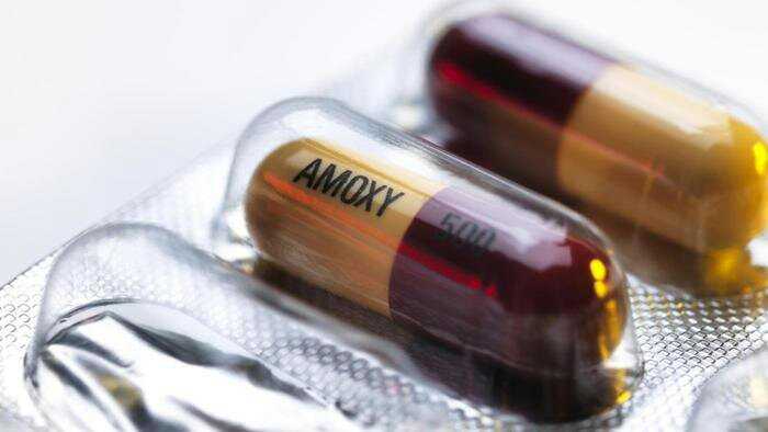 48_amoxicillin.jpeg
