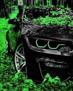 4d78e5c283b906837874097cac4f37e3.jpg