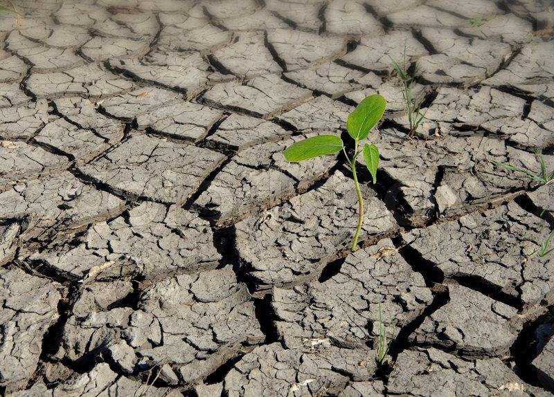 5436898-barren-land.jpg