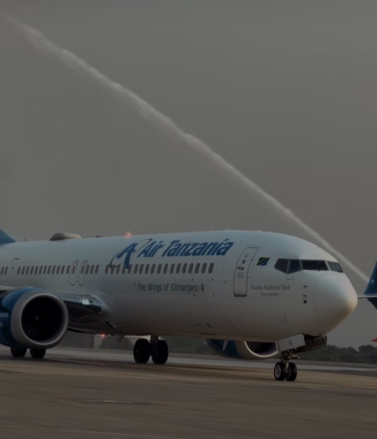 561800.jpg