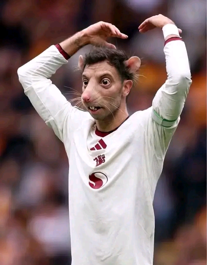 6208.jpg