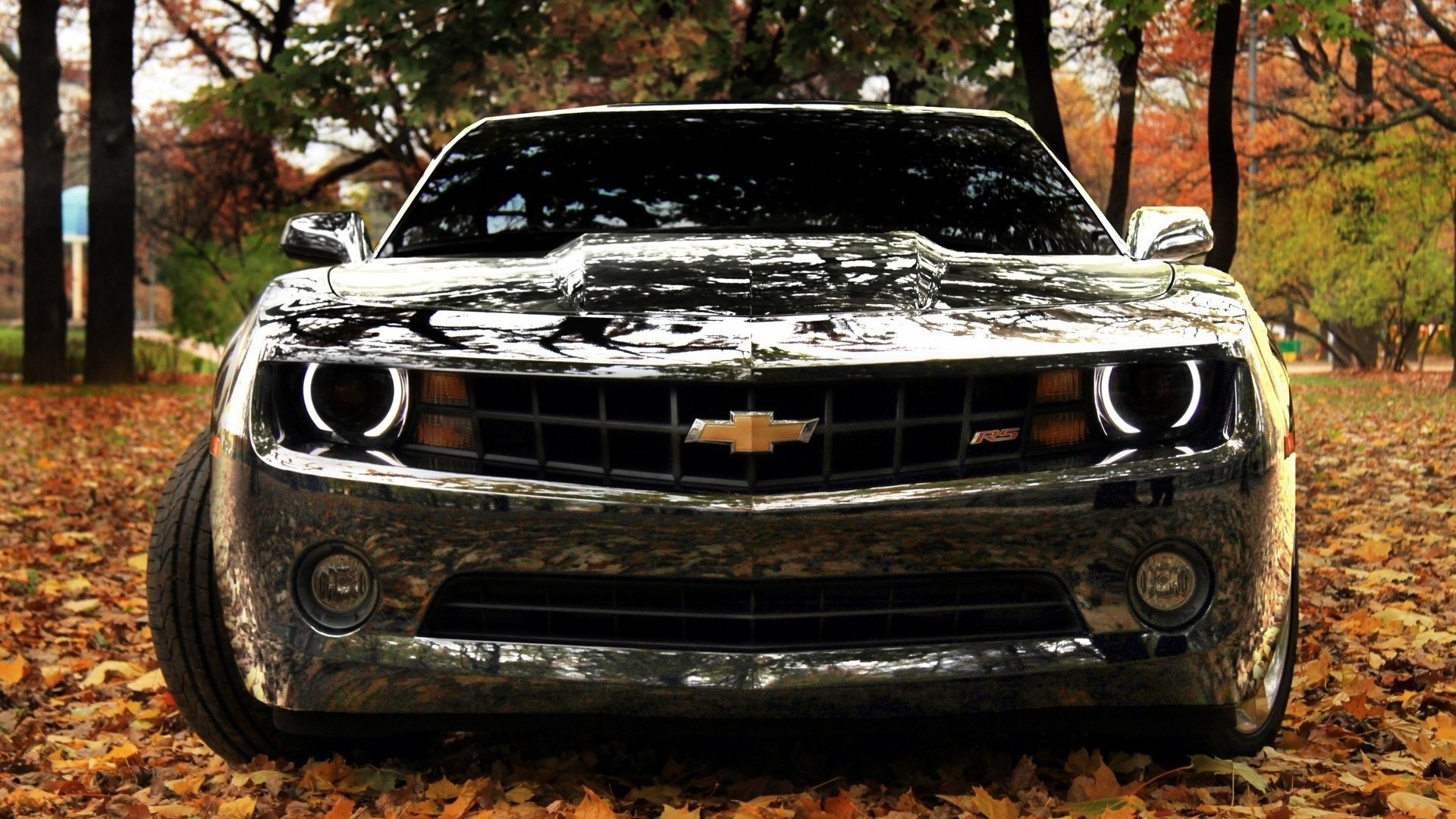 62e94ffb574ce.jpg