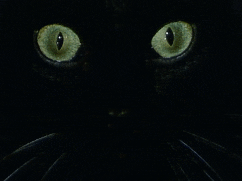 6605ebd857797d297e46ae415f6e3207.gif