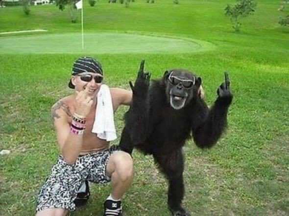 6e7f9a72c6700c65e125447937554393.jpg