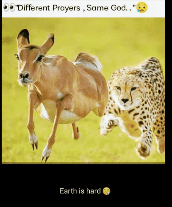 82918D96-775F-4405-80A9-9586A3F9E066.png