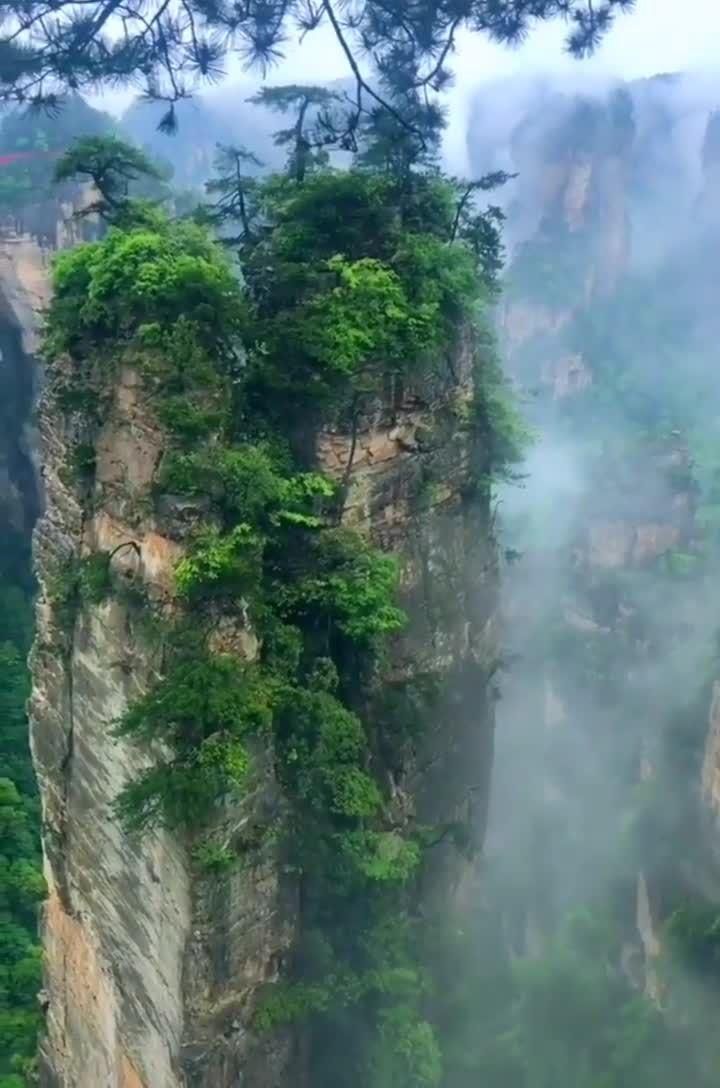 8582c407-37f7-4b15-8b2c-457af2285ab6.jpeg